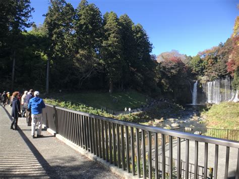 Mtfuji And Autumn Leaves At Shiraito Falls 1 Minute Traveller