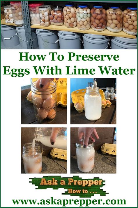 Preserving Eggs In Lime Water A Step By Step Guide Fruit Faves