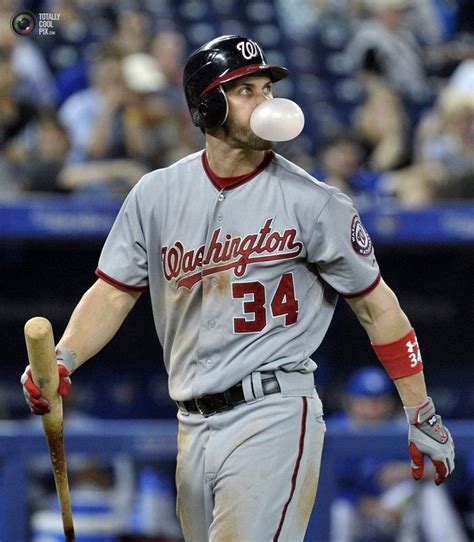 Why Do Baseball Players Chew Gum Bubble Gum Baseball