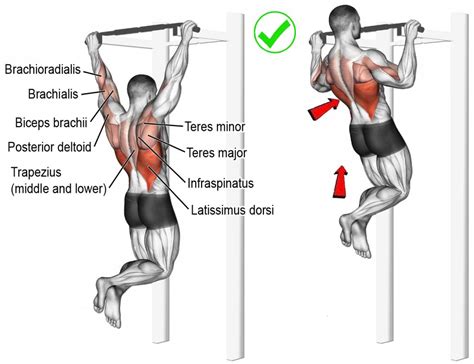 (keep feet planted for stability, but don't press into them to rise up.) How to Do Pull-ups: Tips, Routine - weighteasyloss.com