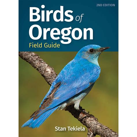 Outdoors Camping And Travel All Outdoors Books Bird Identification