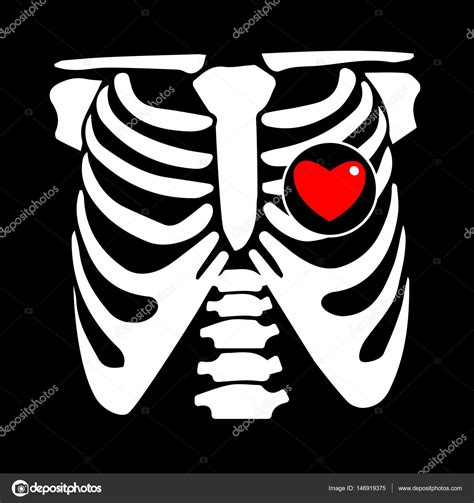 tórax costela vetor esqueleto coração osso ilustração raio raio x filme — vetor de