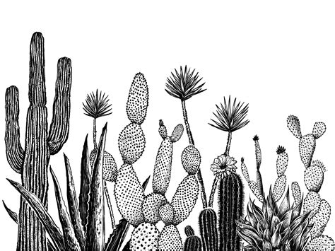 Growing Cacti Art Print