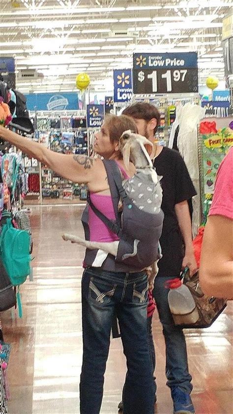 Here Are Some Really Weird Animal Photos You Need To See Walmart