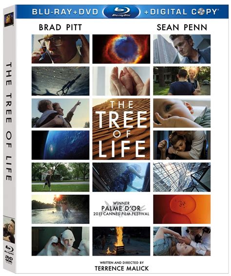 Blu Ray Review Terrence Malicks The Tree Of Life On Fox Home