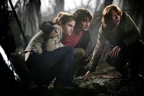 when harry got protective of hermione after they saw the dark mark at the quidditch world cup