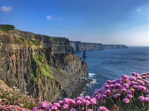 May Flowers Along The Beautiful Cliffs Of Moher In Ireland Photograph