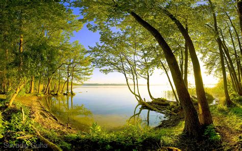 1280x720 Wallpaper Forest Lake Green Trees Cpl Filter Wide Angle