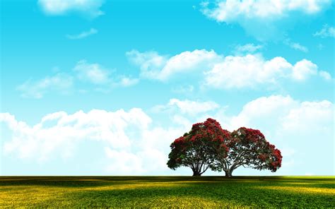 Sky Nature Landscape Adobe Photoshop Wallpapers Hd Desktop And