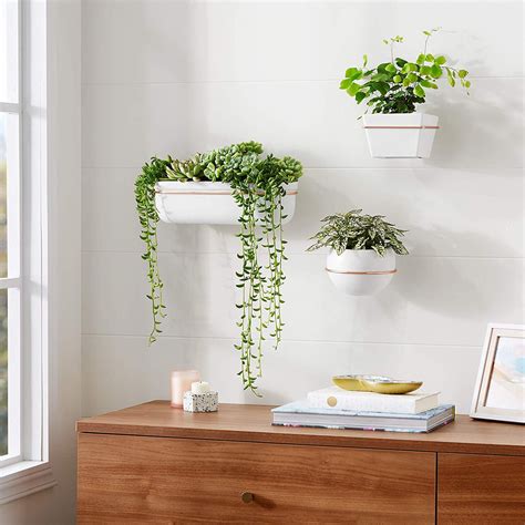 three potted plants are hanging on the wall next to a dresser with
