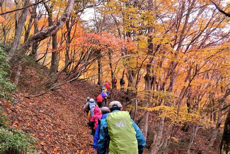 Hiking In Japan Mt Bunagatake In Shiga Fall Foliage In Japan