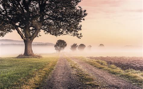 Non Woven Photomural Misty Morning By Stefan Hefele