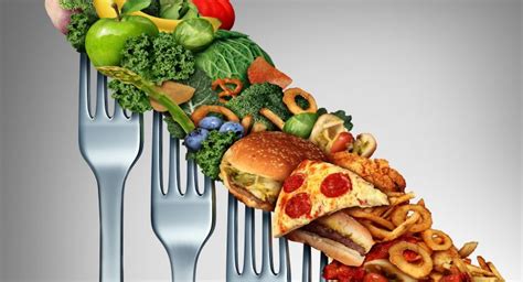 Dietary Management Of Obesity Essential Health Info