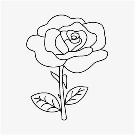 10 Sketsa Gambar Mewarnai Sederhana Bunga Flower Sketches Flower