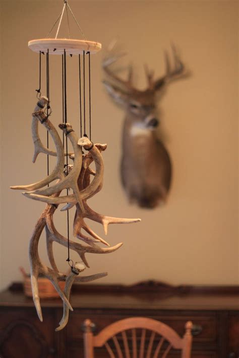 I previously showed you my attempt to embellish a deer antler mount for a christmas ornament… i did have a little experience with working around this type of thing last week when i did the deer antlers for christmas, so maybe i'm getting over the 'ewww' factor a little better now. Decor: Incredible Collection Of Antler Decor For Living ...