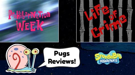 Pugs Reviews Spongebob Prehibernation Week Life Of Crime Youtube