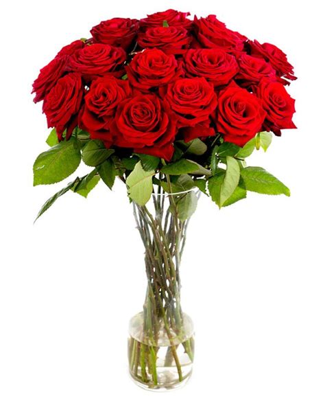 20 Long Stemmed Red Roses Fresh Red Roses Red Roses Delivery 20 Red