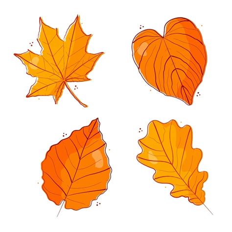 How To Draw An Autumn Leaf Step By Step Drawing Guide