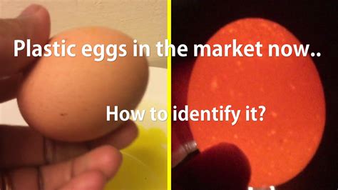 fake plastic eggs how to identify it hemslobby