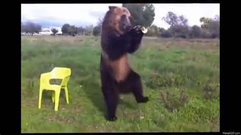 A Bear Standing On Its Hind Legs In The Grass Near A Yellow Chair And Table