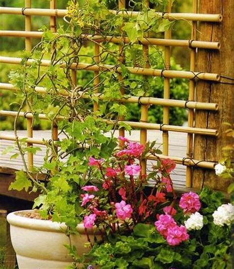 If you've been watching the tv series, wandavision on disney+, you know that the hexagon is a pretty 21. DIY Bamboo Trellis | The Owner-Builder Network