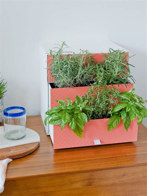 Find all the books, read about the author, and more. 14 Ways to Grow Indoor Herbs Right in Your Kitchen ...
