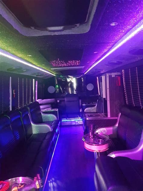 movin sound discos party bus 15 passengers