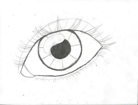 Simple Eye Drawing At Getdrawings Free Download