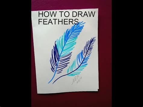 To draw birds accurately, you'll need to master drawing feathers. Drawing: How to DRAW FEATHERS, crafts for kids - YouTube
