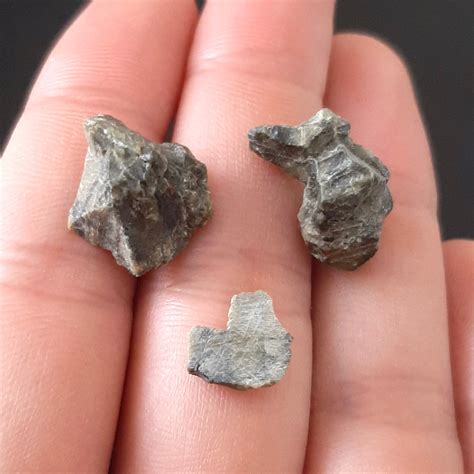 Tatahouine Meteorite Diogenite Observed Fall Lot Meteolovers