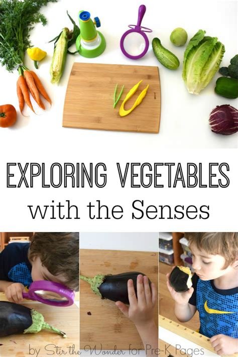Learn fruit list in english. Science for Kids: Exploring Vegetables with the Senses ...