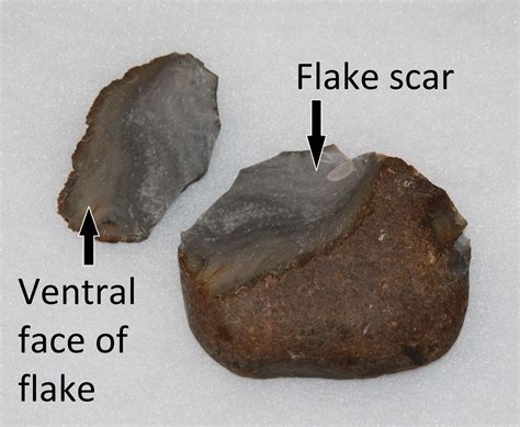 Flakes Learning About Lithics