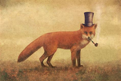 Crazy Like A Fox Canvas Artwork By Terry Fan Icanvas In 2021 Fox