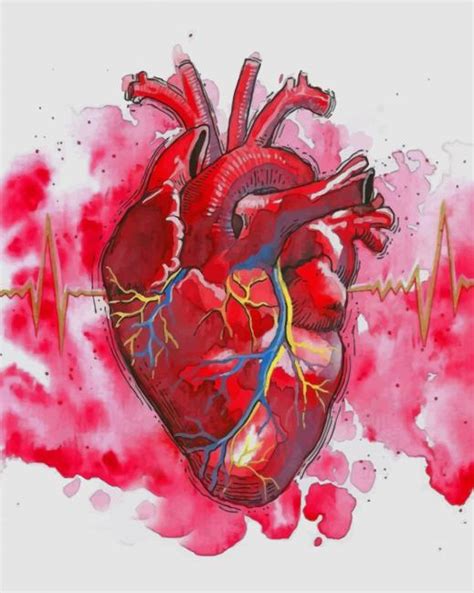 Watercolor Human Heart New Paint By Number Paint By Numbers For Sale
