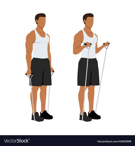 Man Doing Resistance Band Bicep Curls Exercise Vector Image