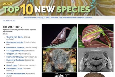 Science Reference Top 10 New Species Of 2017