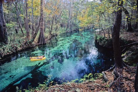 Maybe you would like to learn more about one of these? Ichetucknee Springs - Springs Eternal Project | Springs ...