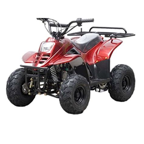 Tao Tao 110cc Atv Fully Automatic Four Wheelers Atv Quads For Kids