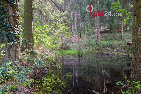 Zweifall · 148 m² · 1.311 €/m² · haus · mehrfamilienhaus. PHI AACHEN - Romantisches Wohnerlebnis in ruhiger Waldlage ...