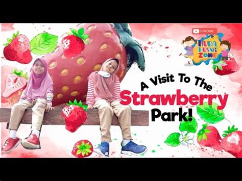 Prk cameron highlands sah akan diadakan. Strawberry Park Cameron Highlands - YouTube