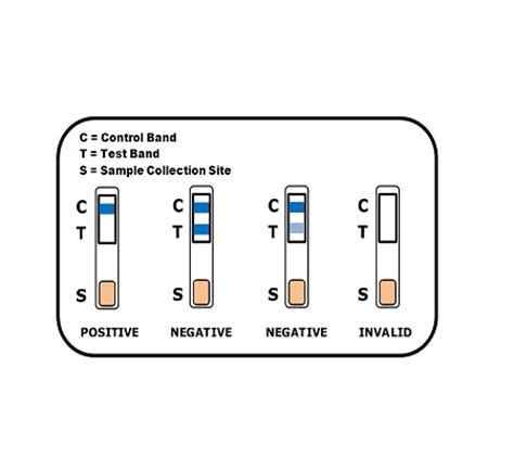 A saliva drug test is not similar to the modified urine type of test. The Marijuana Saliva Drug Test: Everything You Need To ...