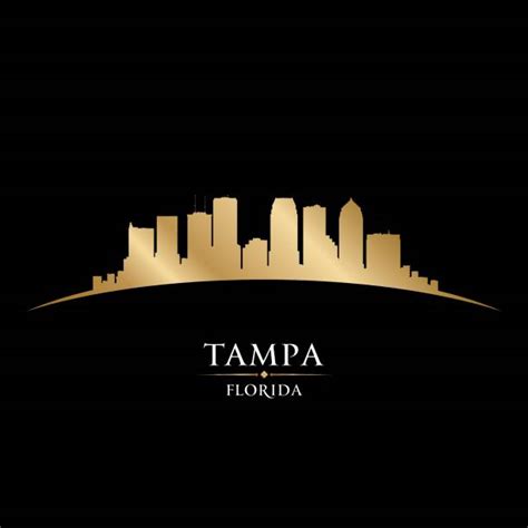 Tampa Skyline Backgrounds Illustrations Royalty Free Vector Graphics