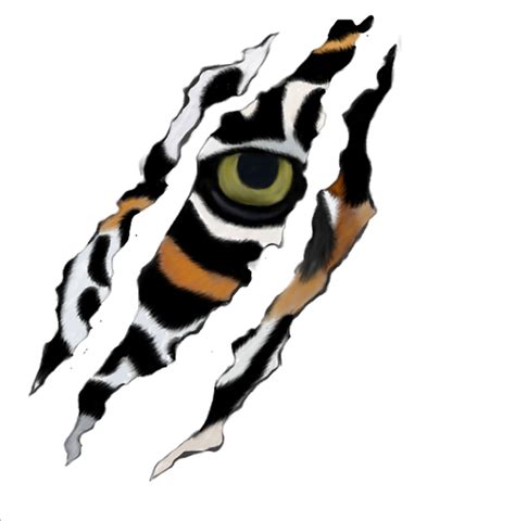 Tiger Scratch By Maineac92 On Deviantart