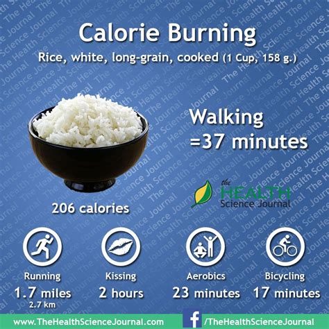 The calorie contented in a bowl of rice consists of 187 calories from carbohydrates, 13 calories from protein and four. How many calories in 1 cup of white rice - NISHIOHMIYA ...