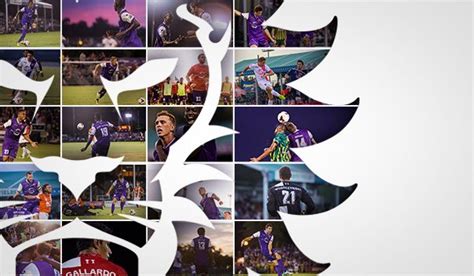 Orlando City Announces Its Current Mls Roster Orlando City Soccer