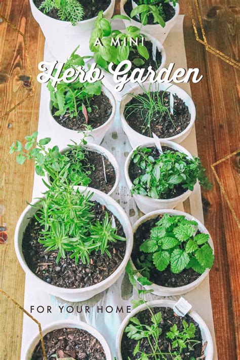 A Mini Herb Garden For You To Grow This Spring With Fun Diy Pots