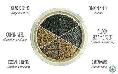 What Exactly Is Black Seed Pure Indian Foods Blog
