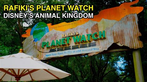 [4K] Rafiki's Planet Watch - Conservation Exhibits : Animal Kingdom
