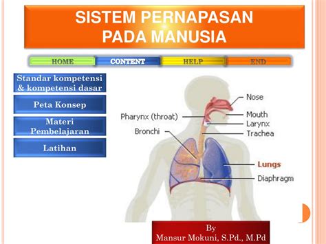 Ppt Sistem Pernapasan Homecare