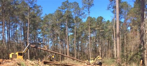 Determine your basis and keep more timber income jeff martin. Timber Sales - TimberCorp